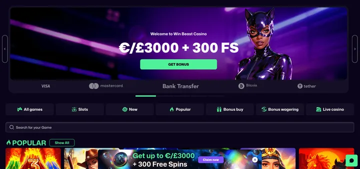 Screenshot der Website von Winbeast